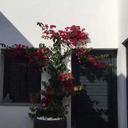 펜션 Casablanca - Haus Am *
